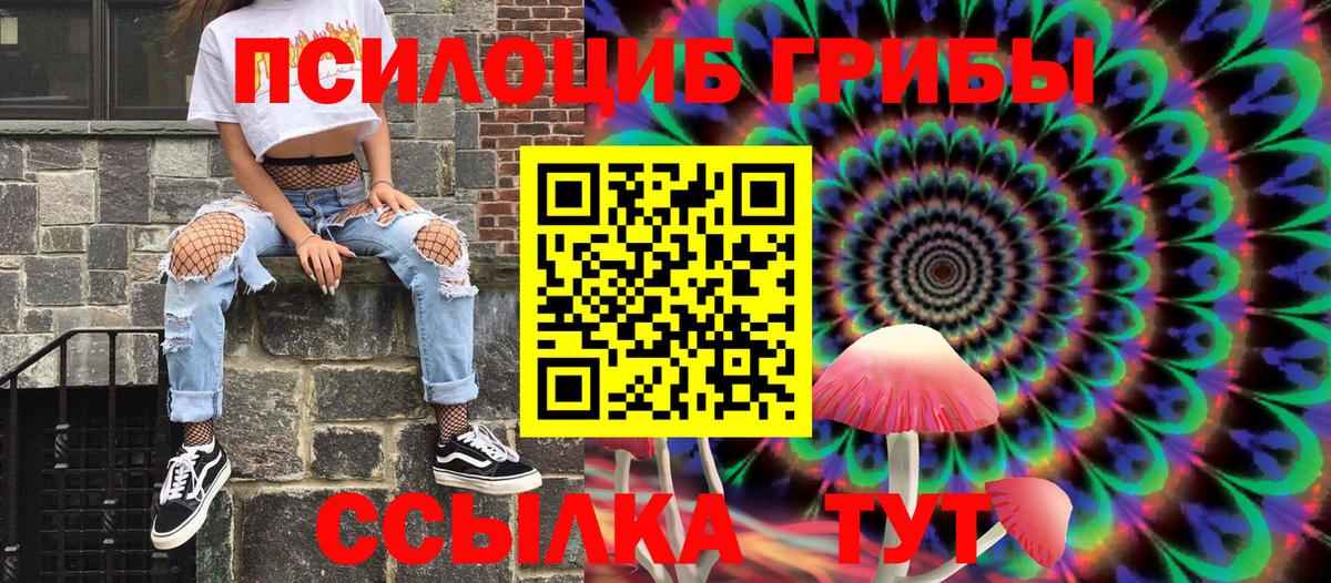 Псилоцибиновые грибы Psilocybine cubensis Дедовск