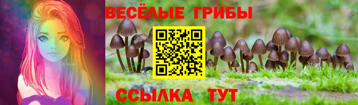 Дедовск  Галлюциногенные грибы мухоморы  Вход с VPN  Галлюциногенные грибы Psilocybine cubensis 